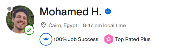 Mohamed H. – Top Rated Plus, 100% Job Success on Upwork – Cairo, Egypt